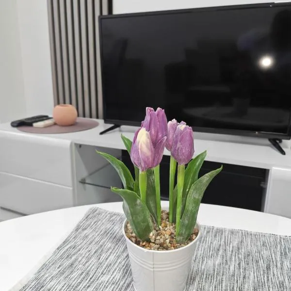 Ana - stan na dan, hotel a Smederevska Palanka