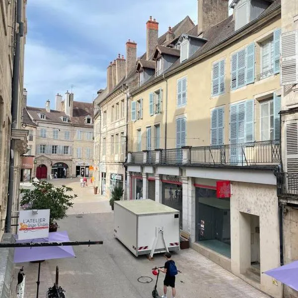 Appartement Centre-ville Dole, hotel in Dole