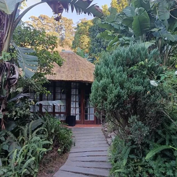 Robin's Thatch Studio- bush camp in the suburbs-sleeps 2, hotel a Pinetown
