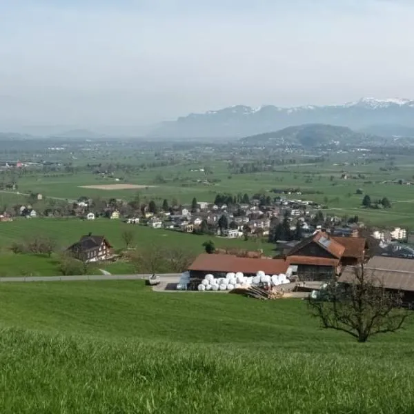 Moderne & grosse Wohnung mit atemberaubernder Aussicht über das Rheintal, hotel a Grabs