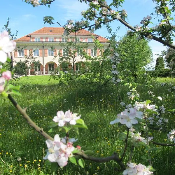Burgbühl, hotel v destinaci Sankt Antoni