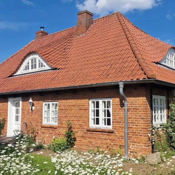 Urlaub mit Hund - aktuell noch freie Kapazitäten im Sommer!, hotel in Riepsdorf