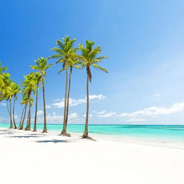 LOS CORALES del Mar Ducassi STUDIOS & SUITES SPA – hotel w Punta Cana