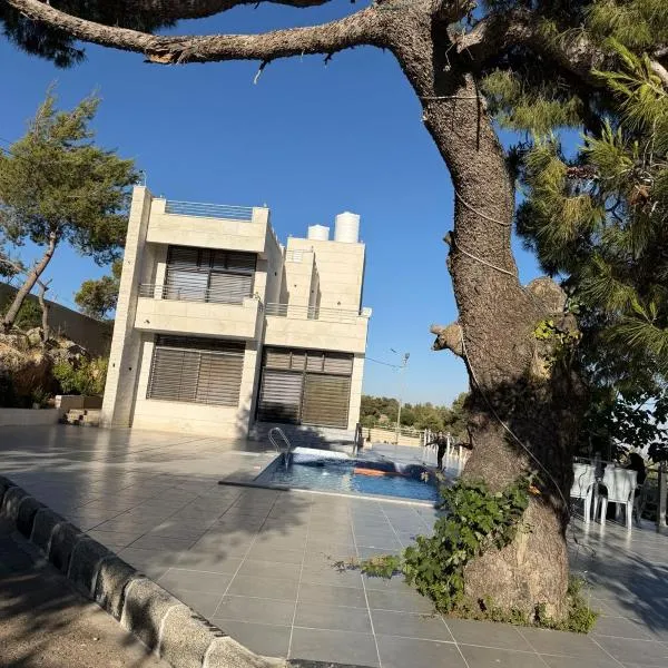 The Pine Tree Chalet, hotel em Gérasa