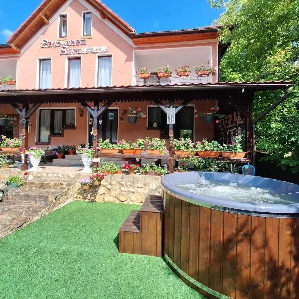 Pensiunea Flori, hotel u gradu Vaţa de Jos