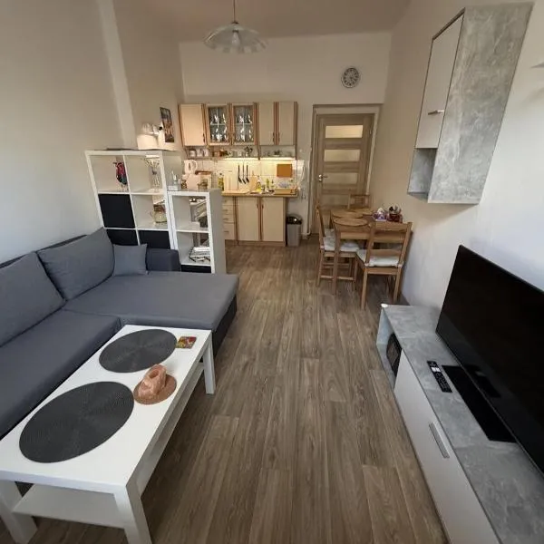 Flat in the heart of Decin close to via ferrata, hotel in Podmokly