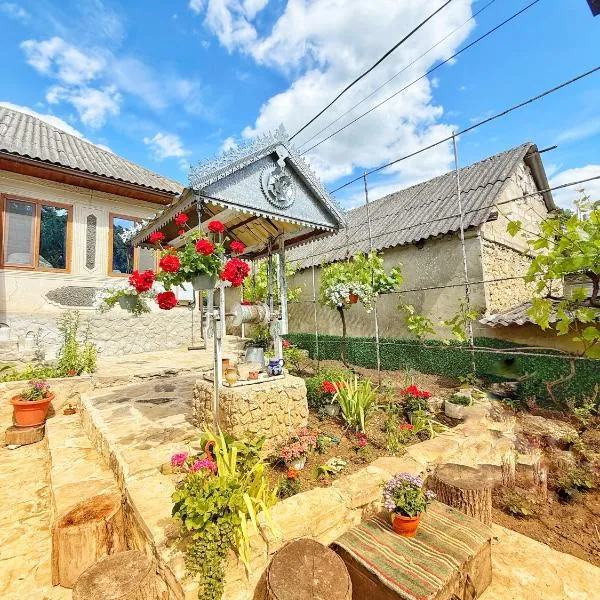 Casa Veche, viešbutis 