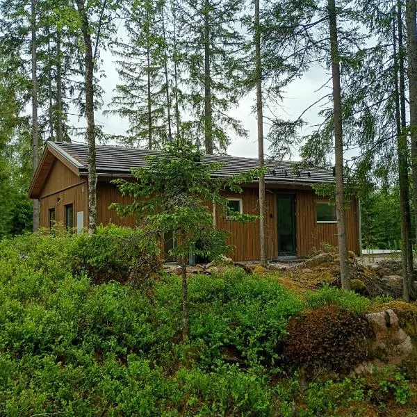 Ferienhaus Seenähe Aäng 6a, hótel í Vislanda