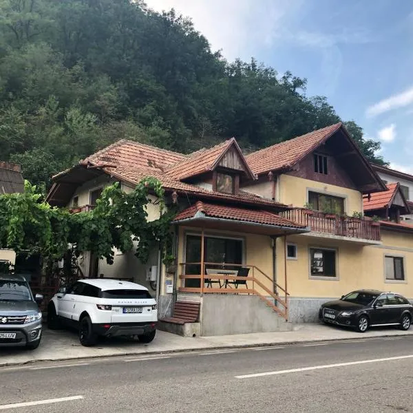 Casa Dina, ξενοδοχείο σε Băile Herculane