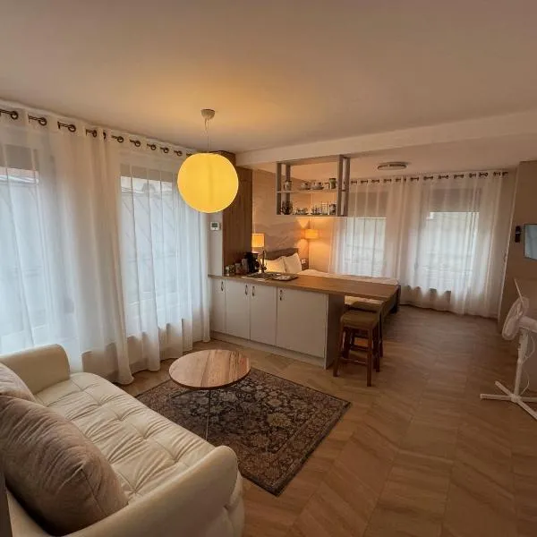 Lucas 10 Apartments, хотел в Клуж-Напока