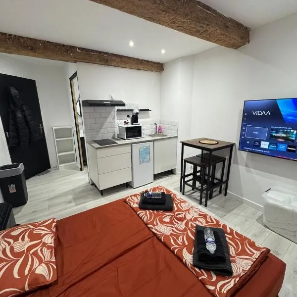 Les Perles de Limoux -Studio Centre Clim Wifi Parking Gratuit, готель у місті Ліму