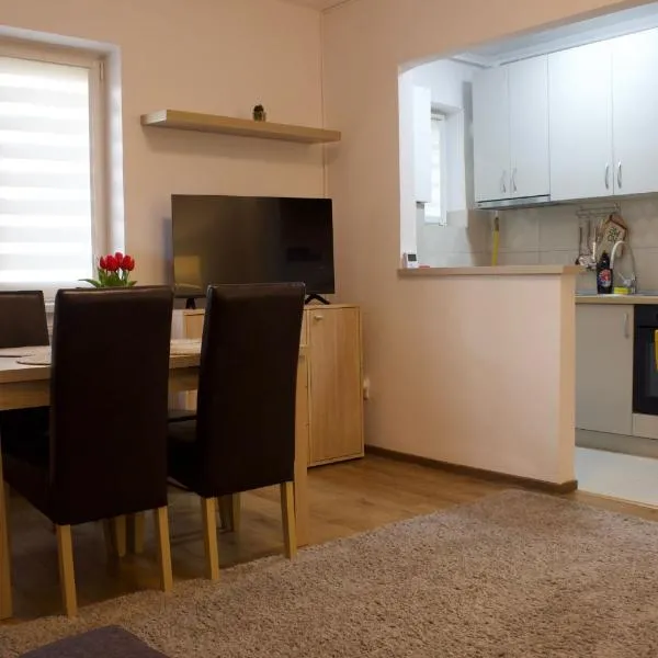 Natasa apartment – hotel w mieście Băile Tuşnad
