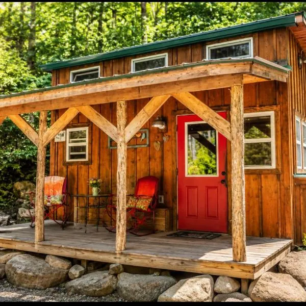 Peaceful Forest Tiny Home، فندق في نيوبورت