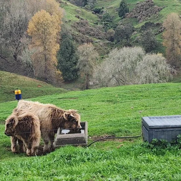 Misty Valley Hilltop Farmstay - Off Grid Retreat, hotel in Otorohanga