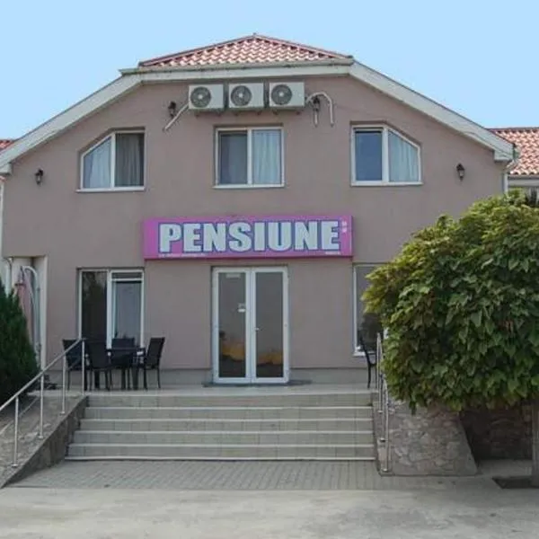 Pensiunea Rodica, hotel en Sînnicolau Mare