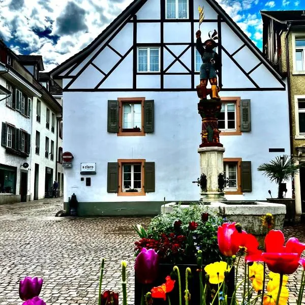 Charmante Wohnung am Albrechtsplatz, hotel en Rheinfelden