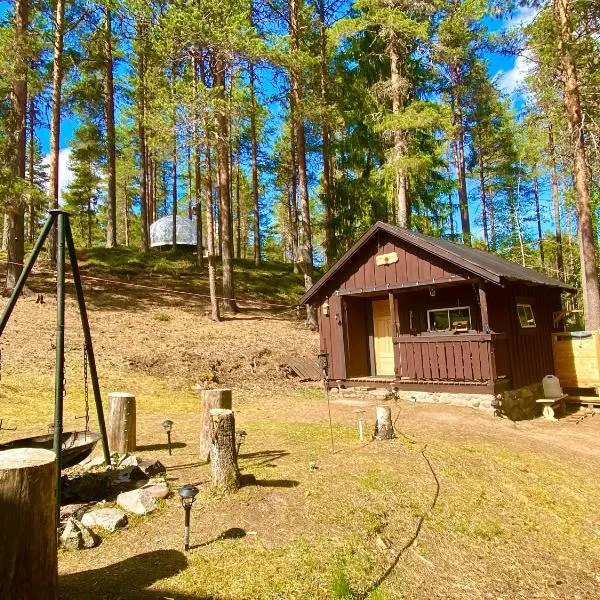 Beaver Cabin, hotel in Mora