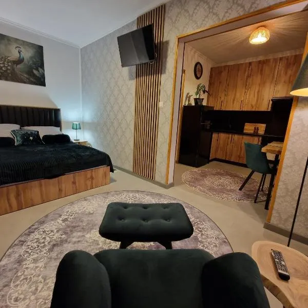 Magdalena Green Studio Centrum Urania, hotel em Olsztyn