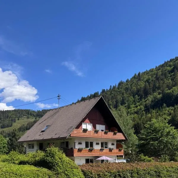 Geißentalblick Menzenschwand Ruhe, Natur & Infrarot, hotel a St. Blasien