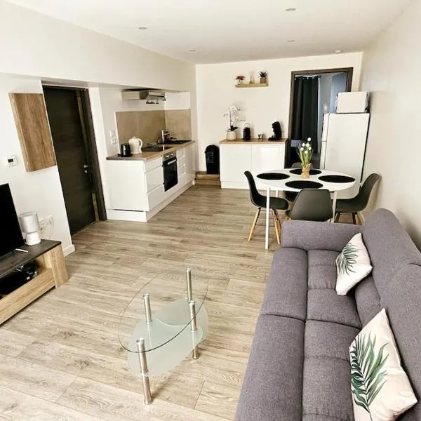 Bel appartement T2 de 50m2,accès PMR,plein centre, hotel en Toul