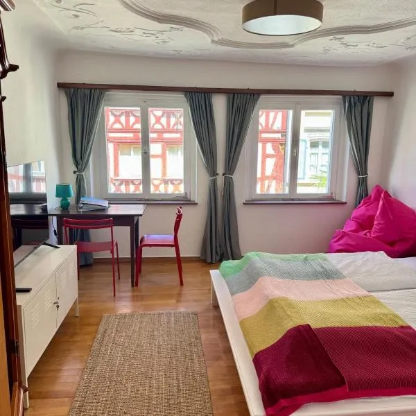 Altstadt - gemütliches Stuckzimmer mit Badezimmer und Küche，位于于伯林根的酒店