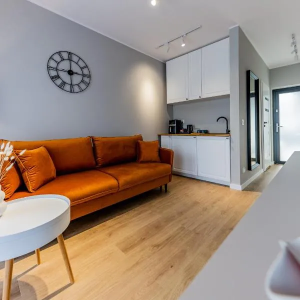 Apartamenty i pokoje deluxe PÓŁNOCNA PRZYSTAŃ โรงแรมในPrzewłoka