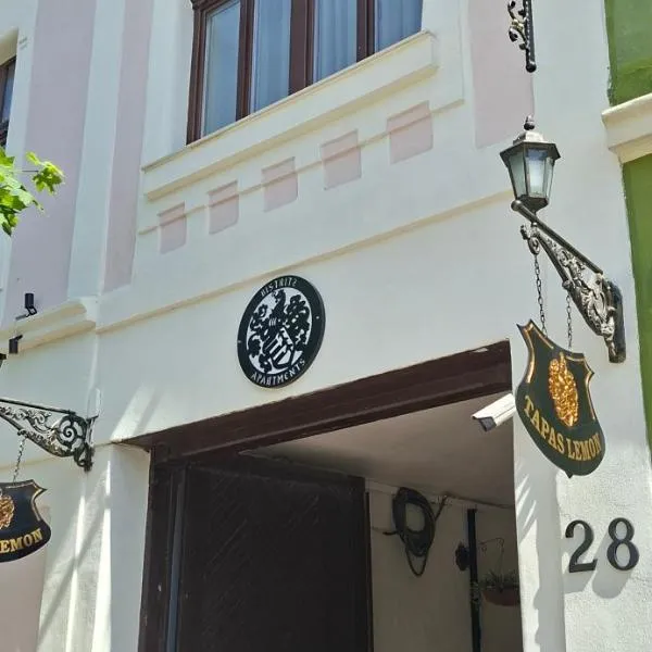 BistritzApartments centrul vechi, hotel en Bistriţa