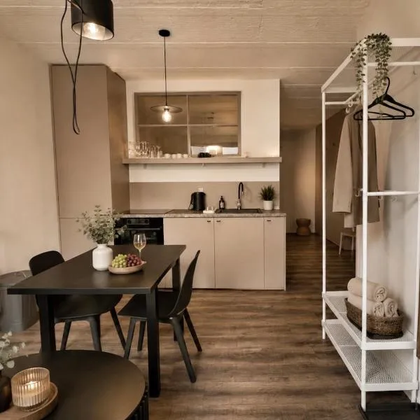 Farska apartman architektky v priamom centre Nitry, hotel v destinaci Nitra