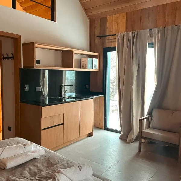 Vandor, hotel in San Martín de los Andes