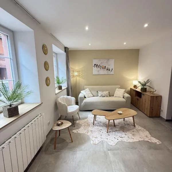 Appartement cosy 4 pers Centre Haguenau, hotel in Haguenau