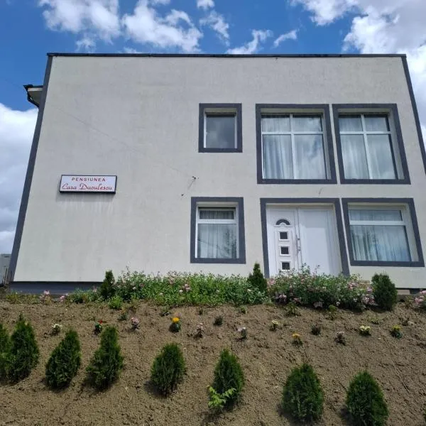 Pensiunea Casa Duculescu, מלון באוקנלה מארי