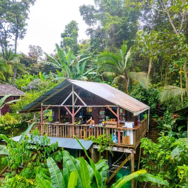 Pure Roots, Hotel in Bastimentos