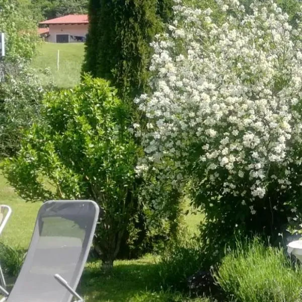 Apartma Deni, hotel in Jelšane