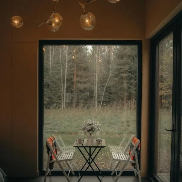 Briežu Stacija Forest Cabin with Hot Tub, отель в Лигатне