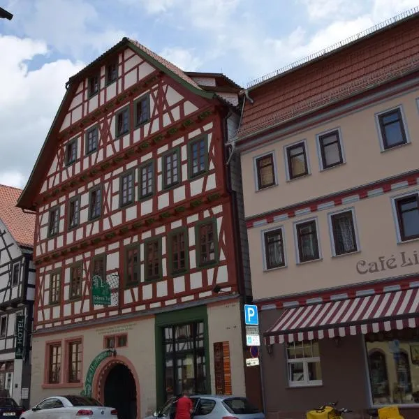 Grünes Tor, hotel a Trusetal