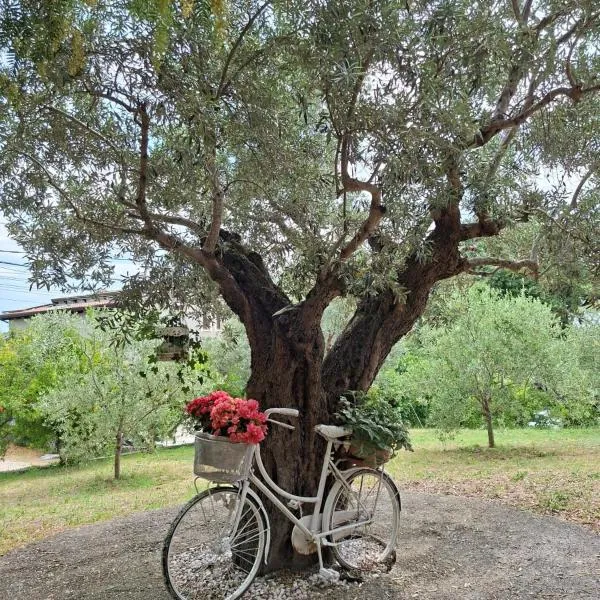 COLLINA FIORITA, hotel in Tollo