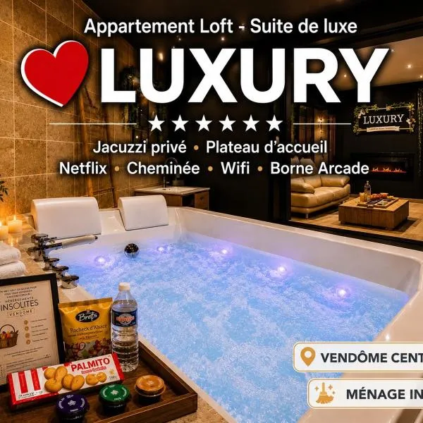 방돔에 위치한 호텔 LUXURY VENDÔME - Loft - suite de luxe - Jacuzzi - Appartement entier
