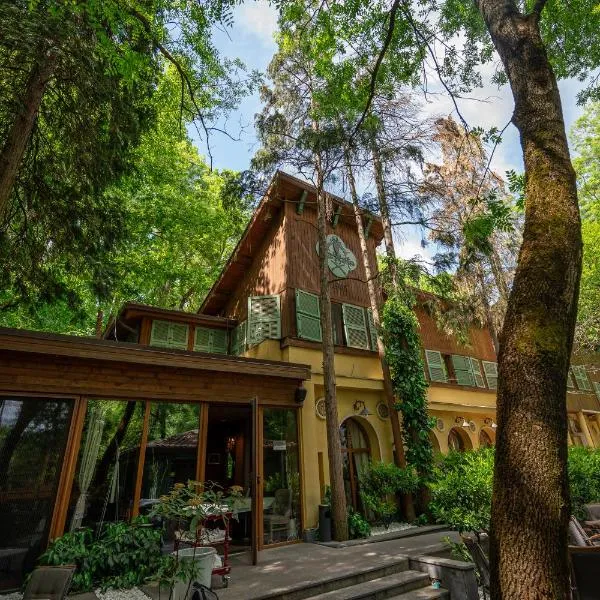 Villa Victoria-Loven Park Sofia, отель в Софии