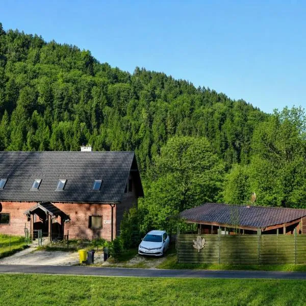 Królikówka, hotel in Stronie Śląskie