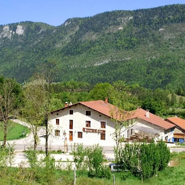 Auberge le Collet, hotel in Saint-Agnan-en-Vercors