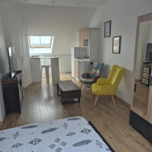 STUDIO COZY 20m2, hotel Les Attaques városában