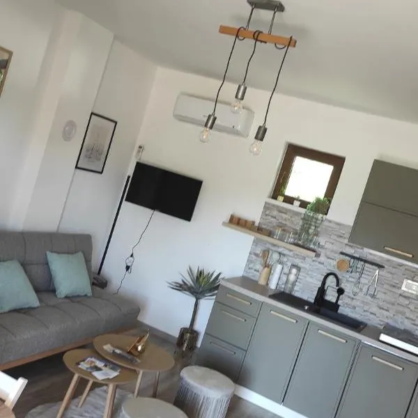 Apartman Noemi, hotel sa Apševci