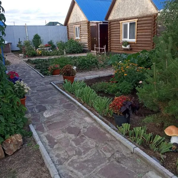 Синие домики, hotel in Borovoye