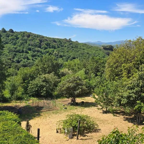 Casa Gioia، فندق في Olmeta-di-Tuda