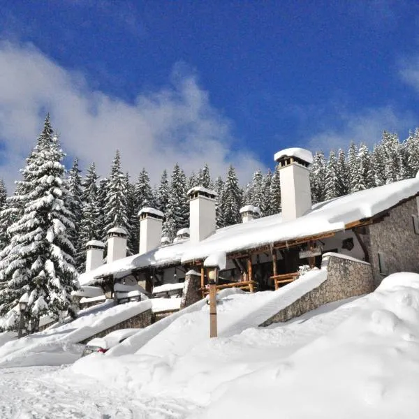 Holiday Village Kochorite, hotel in Pamporovo