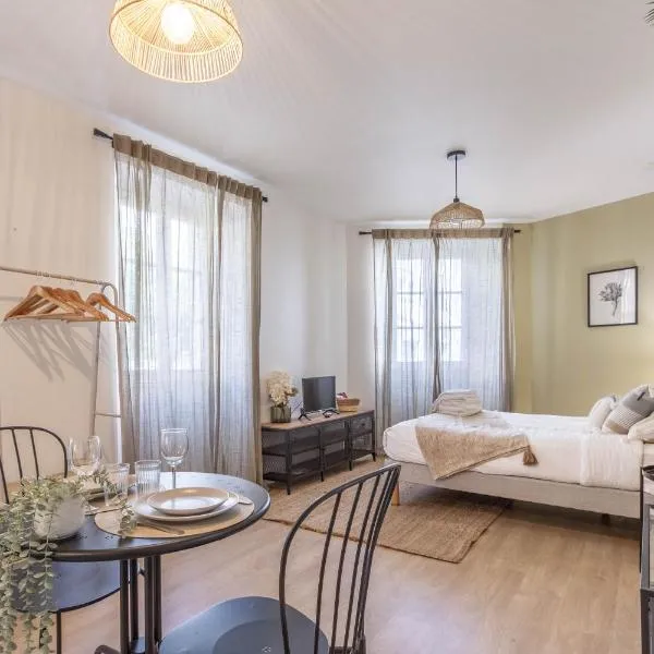 Le Hounau - Studio centre ville Pau, tout équipé，位于波城的酒店