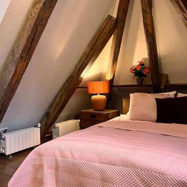 Reval Residences Old Town, Hotel in Tallinn
