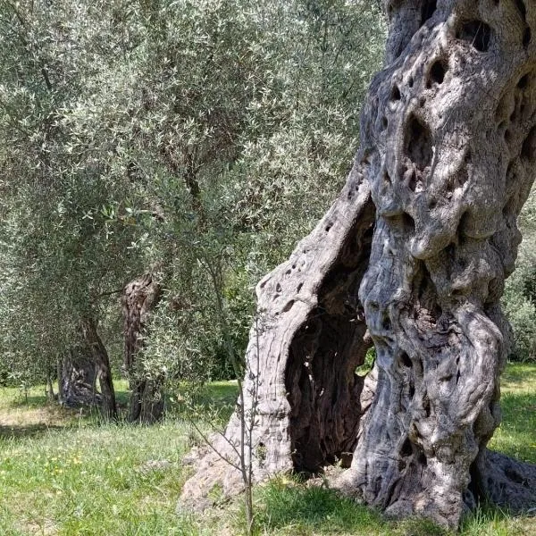 Whisper of Olives - 5 Min Drive to the Old Town, hotel di Bar