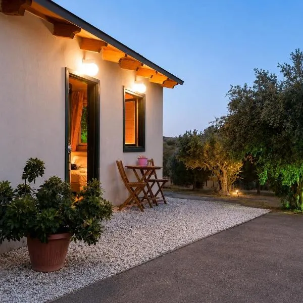 Olive Grove, Hotel in Anavyssos