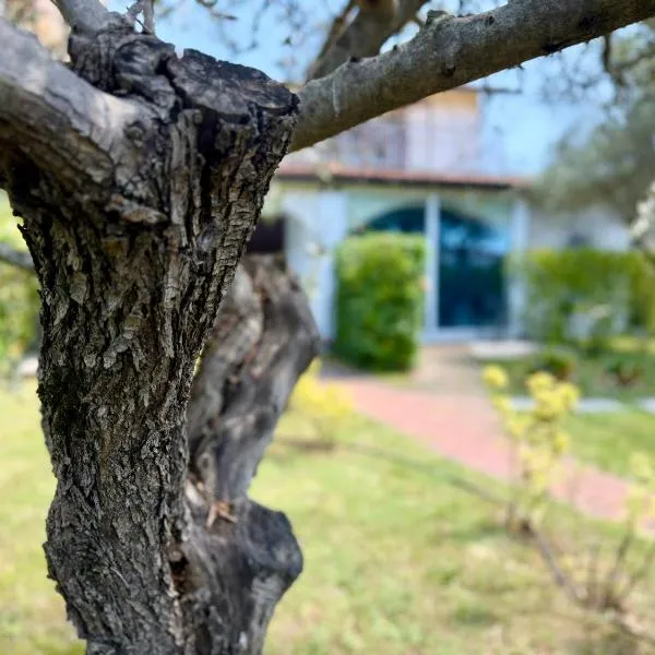Abitatt Apart-Suite, hotel u gradu 'Fosdinovo'